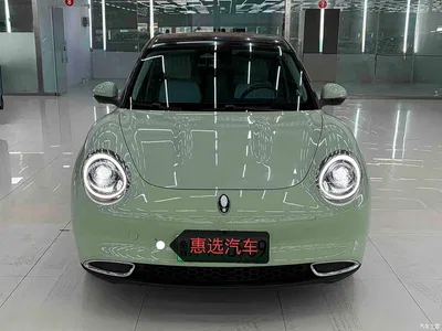 2023 Ora Good Cat 401km Standard Range Honor Edition (LFP), фото 2, лот 11242325