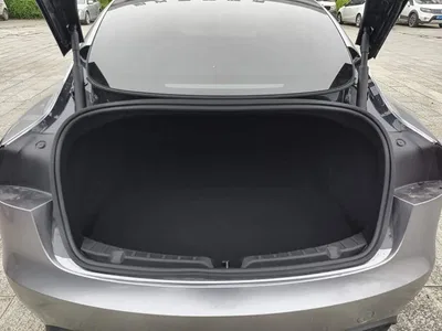 2025 Tesla Model 3 Model Rear-Wheel Drive Edition, фото 4, лот 11243038
