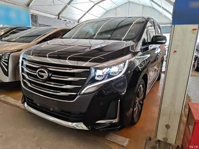 2020 GAC Trumpchi Trumpchi M8 Pilot 390T Prestige Edition, фото 2, лот 10422355