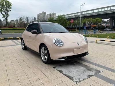 2022 Ora Good Cat 400km Standard Range Premium LFP, фото 1, лот 10284915