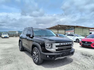 2024 Haval Big Dog 1.5T DCT Border Collie Edition, фото 2, лот 10361578