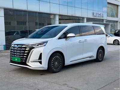 2022 Denza D9 DM-i 970 All-Wheel Drive Honor Edition, фото 1, лот 10343555
