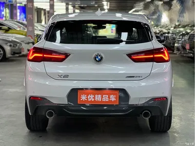 2021 BMW X2 sDrive25i Leading M Sport Package, фото 3, лот 10475428