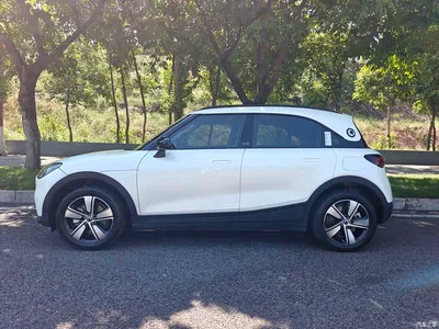 2022 smart Elf #1 Pure+ Edition, фото 3, лот 10343593