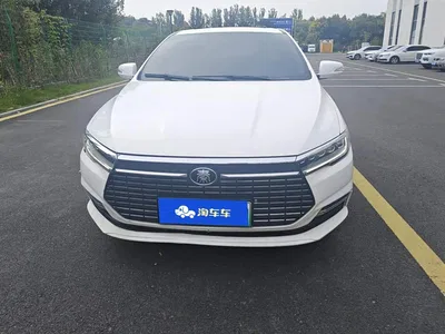2019 BYD Qin New Energy Long Range Luxury Edition, фото 2, лот 10407703