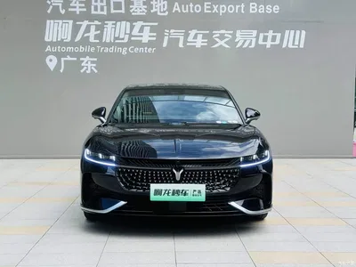 2024 Voyah Auto VOYAH Zhuiguang PHEV AWD Ultra-long Range Executive Edition, фото 2, лот 10358650