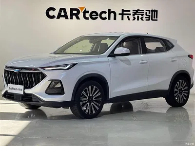 2021 Changan Oshan Changan Oushang X5 1.5T DCT Premium, фото 1, лот 11162727