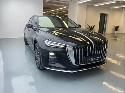 2024 Hongqi H5 2.0T Automatic Smart Connect Flag Smooth Edition, фото 3, лот 10386167