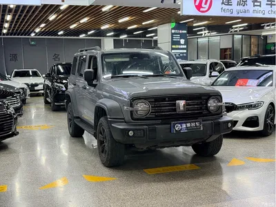2021 Tank 300 Off-road Version 2.0T Conqueror, фото 3, лот 10344076