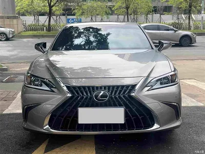 2021 Lexus ES 260 Excellence Edition, фото 2, лот 11095826