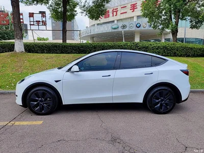 2023 Tesla Model Y Rear-Wheel Drive Edition, фото 3, лот 10450143