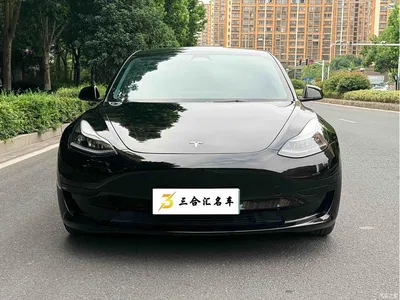 2022 Tesla Model 3 Model Rear-Wheel Drive Version, фото 2, лот 10353813