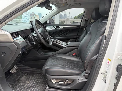 2021 WEY Mocha 2.0T 2WD Premium Edition, фото 4, лот 11150223