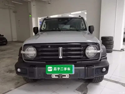 2021 Tank 300 Off-road Version 2.0T Conqueror, фото 3, лот 10345482