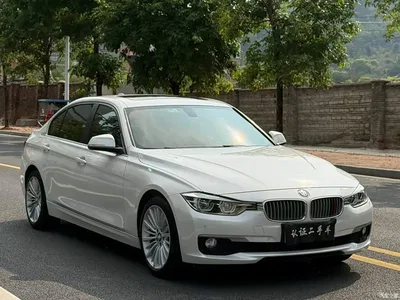 2018 BMW 3 Series 320Li Fashion Style, фото 3, лот 10629850