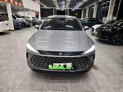 2025 BYD Qin PLUS DM-i Smart Drive 55KM Leader, фото 3, лот 10363333
