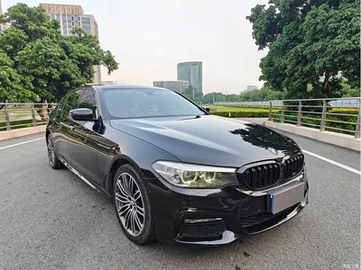 2019 BMW 5 Series 530Li Leading M Sport Package, фото 3, лот 11580536