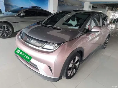 2021 BYD Dolphin 401km Knight Edition, фото 2, лот 10264412