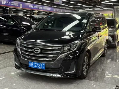 2020 GAC Trumpchi Trumpchi M8 Pilot 390T Prestige Edition, фото 1, лот 10400013