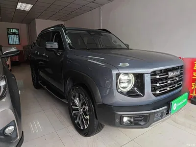 2022 Haval Big Dog 1.5T DCT FWD Border Collie Edition, фото 4, лот 10361255