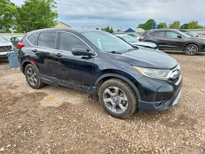 2019 HONDA CR-V EX, фото 4, лот 11314237