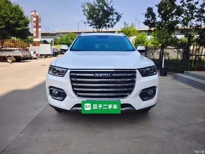 2020 Haval H6 1.5GDIT Automatic Platinum Champion Edition, фото 3, лот 10284285