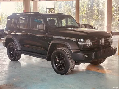 2021 Tank 300 Off-road Version 2.0T Conqueror, фото 3, лот 11527501