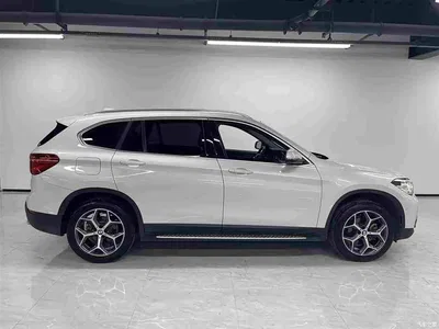 2019 BMW X1 sDrive18Li Premium Model, фото 3, лот 10420994