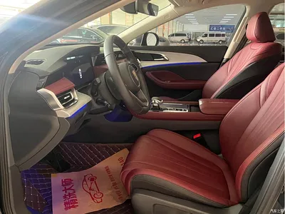 2025 Hongqi H5 2.0T Automatic Flag Celebration 500,000 Units Anniversary Edition, фото 4, лот 11448696