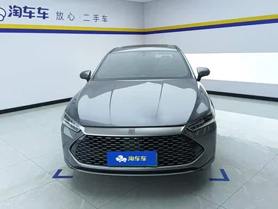 2023 BYD Qin PLUS Champion Edition DM-i 120KM Surpassing Type, фото 2, лот 11204555