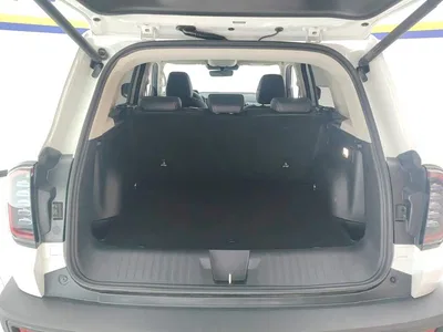 2024 Haval Big Dog 2.0T DCT Chinese Rural Dog Edition, фото 4, лот 10361798