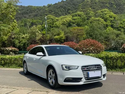 2014 Audi A5 (Import) Sportback 45 TFSI, фото 3, лот 10421993