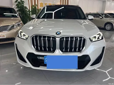 2023 BMW X1 sDrive25Li M Sport Package, фото 2, лот 10411944