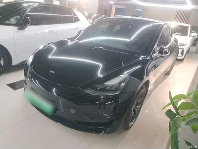 2020 Tesla Model 3 Standard Range Rear-Wheel Drive Upgrade, фото 1, лот 10375300