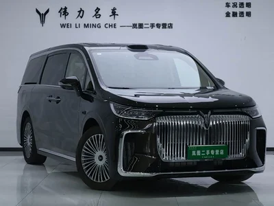 2025 Voyah Auto Voyah Dreamer Model PHEV 4WD Premium QianKun Edition, фото 3, лот 10358757