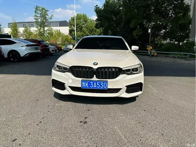 2020 BMW 5 Series 525Li M Sport Package, фото 1, лот 10624799