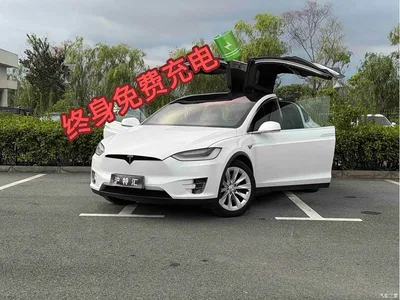 2016 Tesla Model X 75D, фото 1, лот 10396297