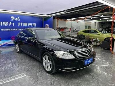 2010 Mercedes-Benz S-Class S 300 L Business, фото 3, лот 11230892
