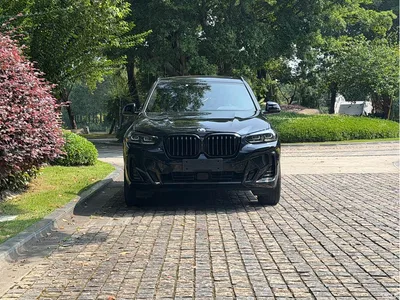 2023 BMW X3 xDrive30i Premium M Night Package, фото 3, лот 11199136