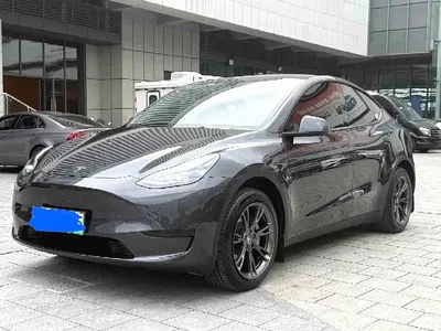 2024 Tesla Model Y Rear-Wheel Drive Version, фото 2, лот 10818368