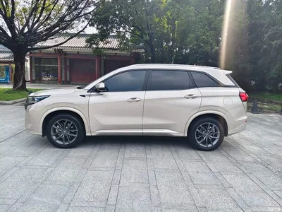 2024 Landian E5 Glory Edition 100KM Premium Type 7-Seater, фото 4, лот 11643940