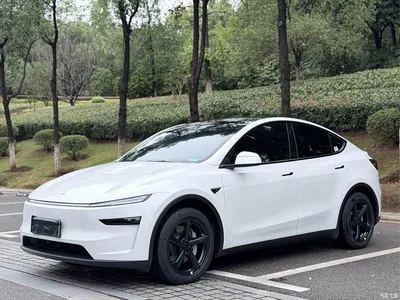 2026 Tesla Model Y Rear-Wheel Drive, фото 1, лот 11450874