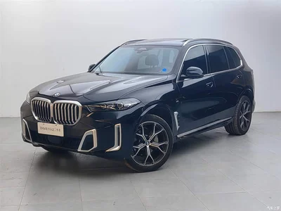 2023 BMW X5 xDrive 30Li Premium M Sport Package, фото 1, лот 10410479