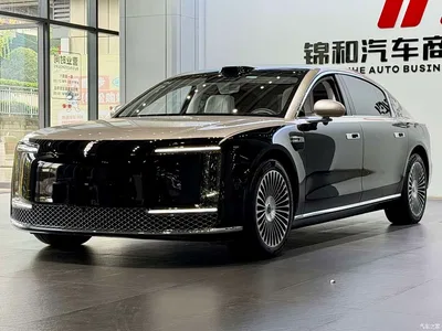 2025 Zunjie S800 Pure Electric Starlight Executive 4-seater, фото 1, лот 10414812