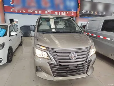 2020 Dongfeng Lingzhi M5L 1.6L Luxury 7-Seater, фото 3, лот 11158993