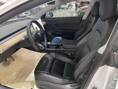 2020 Tesla Model 3 Standard Range Rear-Wheel Drive Upgrade, фото 4, лот 10351897