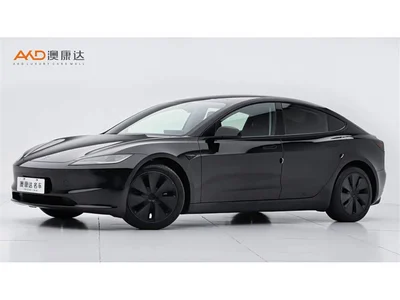 2025 Tesla Model 3 Model Rear-Wheel Drive Edition, фото 1, лот 10356151