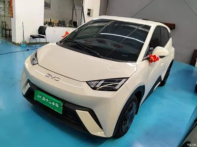 2024 BYD Seagull Glory Edition 305km Vitality Edition, фото 1, лот 10262584