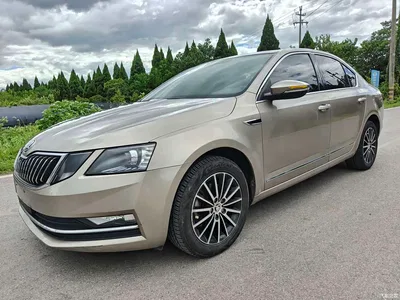 2019 Škoda Octavia TSI230 DSG Luxury Edition, фото 2, лот 10349555