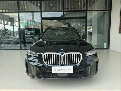 2025 BMW X5 Model xDrive 40Li M Sport Blackout Package, фото 2, лот 10462873